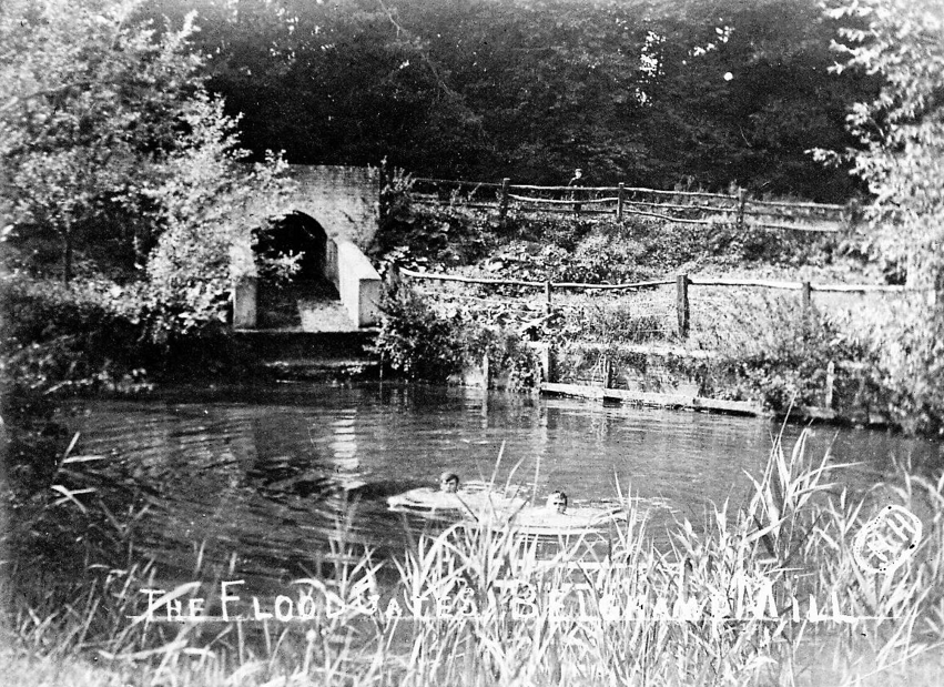Belchamp Walter, Water Mill header pond